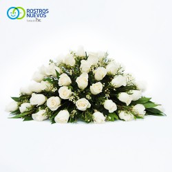 Cubre urnas 50 rosas
