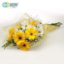 Gerberas y mables